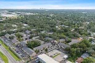 7523 Pitch Pine Cir, Tampa, FL 33617 - Photo 41