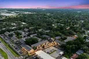 7523 Pitch Pine Cir, Tampa, FL 33617 - Photo 45