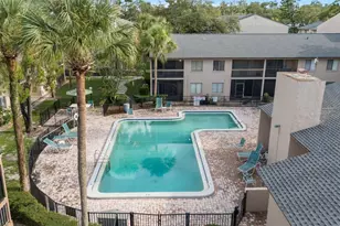 7523 Pitch Pine Cir, Tampa, FL 33617 - Photo 37