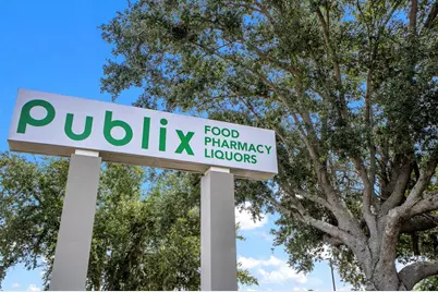 3428 92nd Avenue E, Parrish, FL 34219 - Photo 67