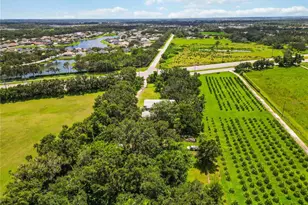 11880 US Hwy 301 N, Parrish, FL 34219 - Photo 15