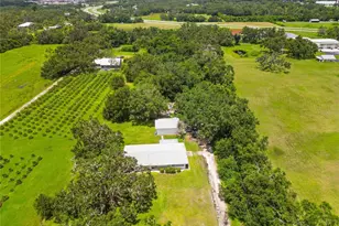 11880 US Hwy 301 N, Parrish, FL 34219 - Photo 17