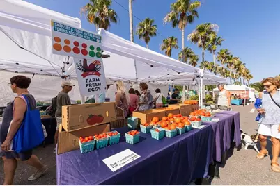 555 The Esplanade N #301, Venice, FL 34285 - Photo 49