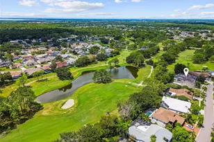 11230 Bloomington Dr, Tampa, FL 33635 - Photo 39