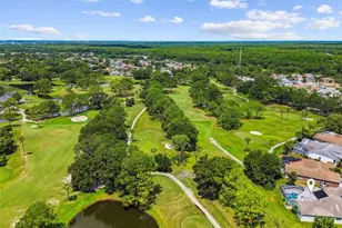 11230 Bloomington Dr, Tampa, FL 33635 - Photo 3