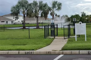 10209 Kalamazoo Pl, Parrish, FL 34219 - Photo 21