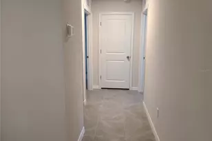 10209 Kalamazoo Pl, Parrish, FL 34219 - Photo 11