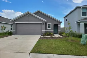 10209 Kalamazoo Pl, Parrish, FL 34219 - Photo 1