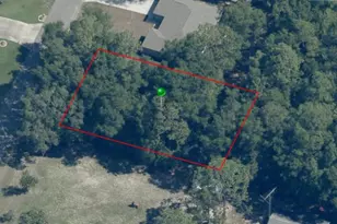 1180 W Bridge Dr, Citrus Springs, FL 34434 - Photo 1