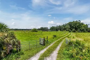 12950 River Rd, Myakka City, FL 34251 - Photo 5