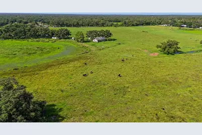 12950 River Road, Myakka City, FL 34251 - Photo 31