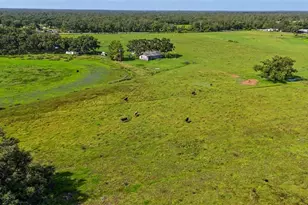 12950 River Rd, Myakka City, FL 34251 - Photo 31