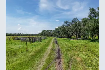 12950 River Road, Myakka City, FL 34251 - Photo 7