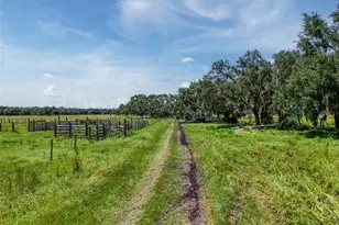 12950 River Rd, Myakka City, FL 34251 - Photo 7