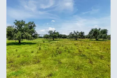 12950 River Road, Myakka City, FL 34251 - Photo 11