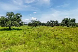 12950 River Rd, Myakka City, FL 34251 - Photo 11
