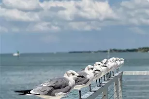 357 Tierra Mar Ln, Sarasota, FL 34242 - Photo 77