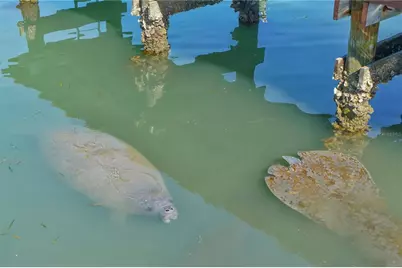 771 John Ringling Boulevard #7, Sarasota, FL 34236 - Photo 43