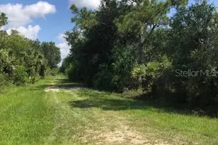 13358 Cappy Terrace, Punta Gorda, FL 33955 - Photo 1