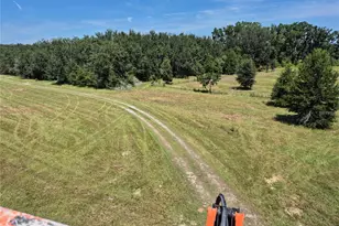 316 NE 516th Ave, Old Town, FL 32680 - Photo 21