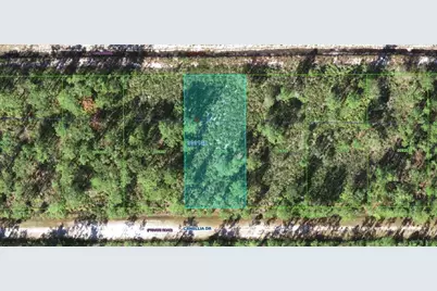 412 Camellia Drive, Indian Lake Estates, FL 33855 - Photo 1