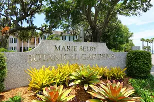 555 N Orange Ave, Sarasota, FL 34236 - Photo 29