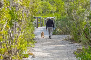 5420 Eagles Point Cir, Sarasota, FL 34231 - Photo 57