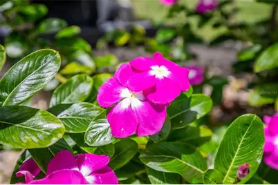 1282 Clearview Drive, Port Charlotte, FL 33953 - Photo 57