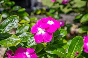 1282 Clearview Dr, Port Charlotte, FL 33953 - Photo 57