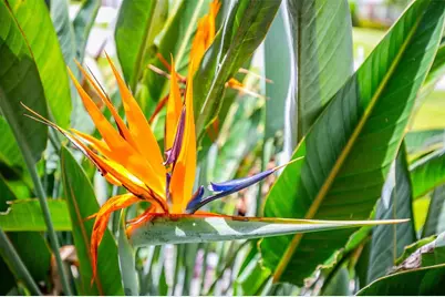 1282 Clearview Drive, Port Charlotte, FL 33953 - Photo 59