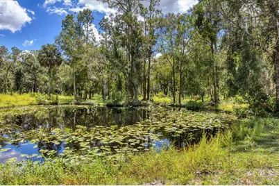 18155 Sr 62, Parrish, FL 34219 - Photo 53