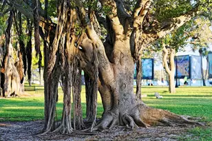 213 Cosmopolitan Ct, Sarasota, FL 34236 - Photo 57