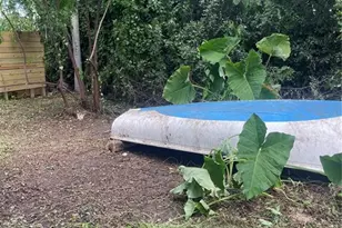 2445 Webber St, Sarasota, FL 34239 - Photo 7