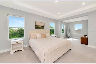 171 Bright Ibis Avenue, Apollo Beach, FL 33572 - Photo 25