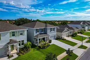 171 Bright Ibis Ave, Apollo Beach, FL 33572 - Photo 61