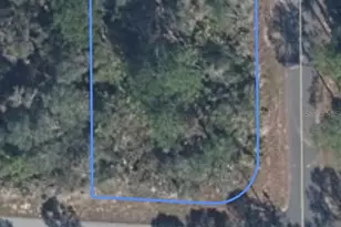 3531 Plover Ave, Lake Placid, FL 33852 - Photo 3