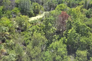 260 Hidden Bay Dr, Osprey, FL 34229 - Photo 13