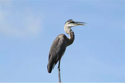 14573 Ponce De Leon Trail, Port Charlotte, FL 33981 - Photo 57