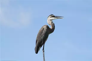 14573 Ponce De Leon Trl, Port Charlotte, FL 33981 - Photo 57