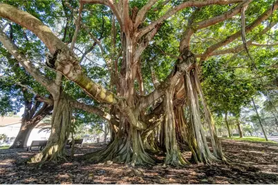 540 Oxford Drive, Venice, FL 34293 - Photo 33