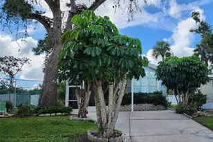 3333 26th Ave E, Bradenton, FL 34208 - Photo 33