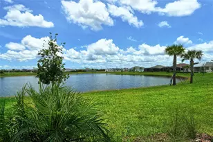 14388 Skipping Stone Loop, Parrish, FL 34219 - Photo 57