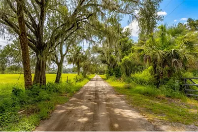 11720 Darsey Road, Parrish, FL 34219 - Photo 45