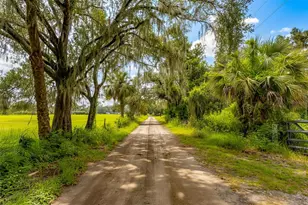 11720 Darsey Rd, Parrish, FL 34219 - Photo 45