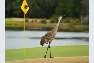 8305 Farington Court, Bradenton, FL 34202 - Photo 93