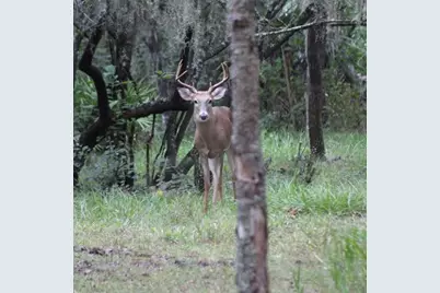 30500 34th Avenue E, Myakka City, FL 34251 - Photo 27