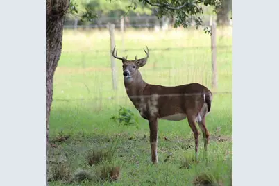 30500 34th Avenue E, Myakka City, FL 34251 - Photo 19