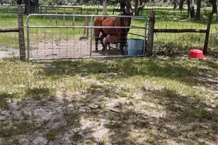 30500 34 Ave E, Myakka City, FL 34251 - Photo 55