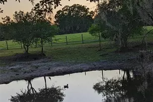 30500 34 Ave E, Myakka City, FL 34251 - Photo 67