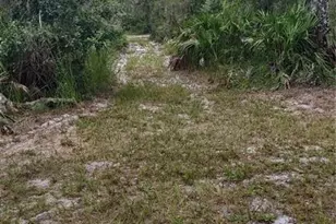 30500 34 Ave E, Myakka City, FL 34251 - Photo 61